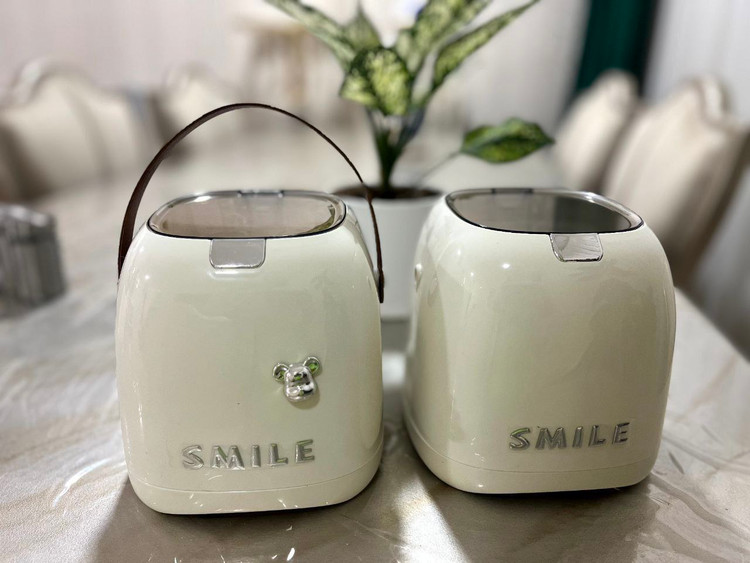 سطل و جادستمالی SMILE